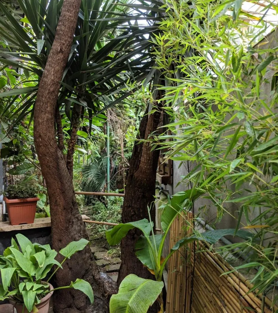 Palm Gallery Garden House Hotel Rome